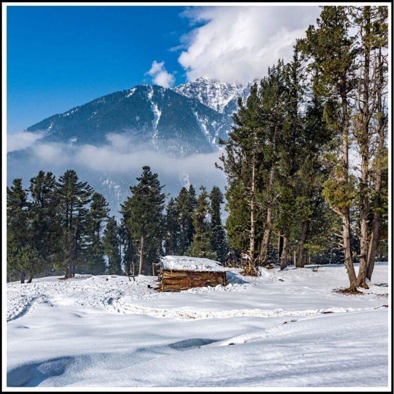 Kashmir