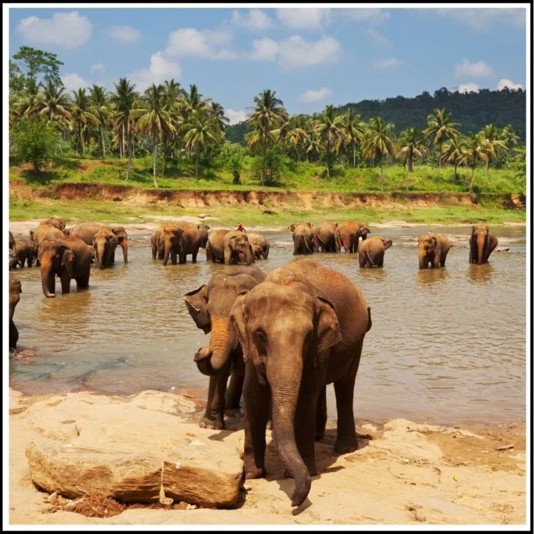 Sri Lanka